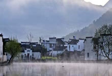 嫩茶wx，2024深圳春日茶香浓，感受茶香飘逸！